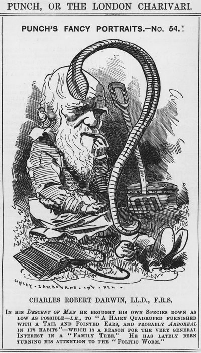 Charles Darwin, Punchs Fantasieporträts, Nr. 54, Illustration aus 
