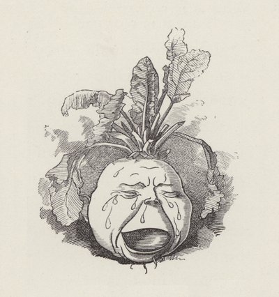 Illustration für Die Wasserkinder von Charles Kingsley von Edward Linley (after) Sambourne