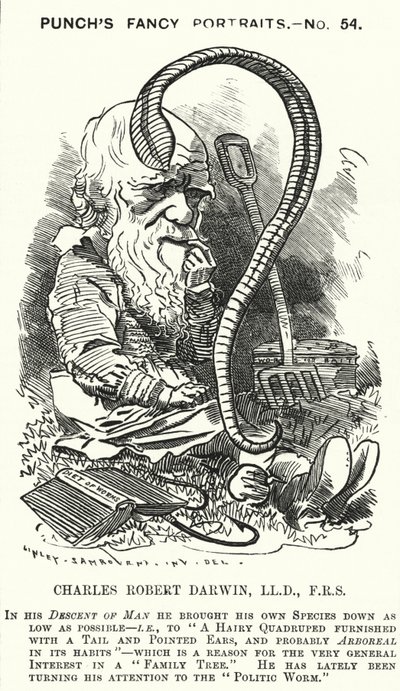 Karikatur: Charles Darwin, englischer Naturforscher und Biologe (Gravur) von Edward Linley (after) Sambourne