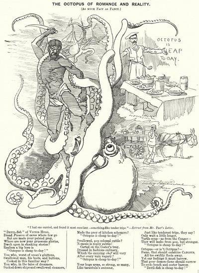Karikatur von Punch: Der Oktopus der Romantik und Realität (Stich) von Edward Linley (after) Sambourne