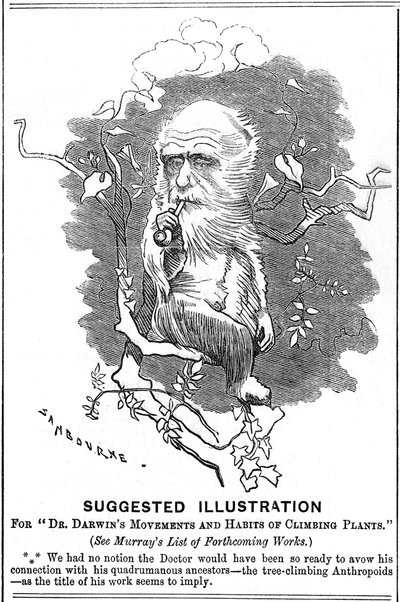 Charles Darwin, englischer Naturforscher, 1875 von Edward Linley Sambourne