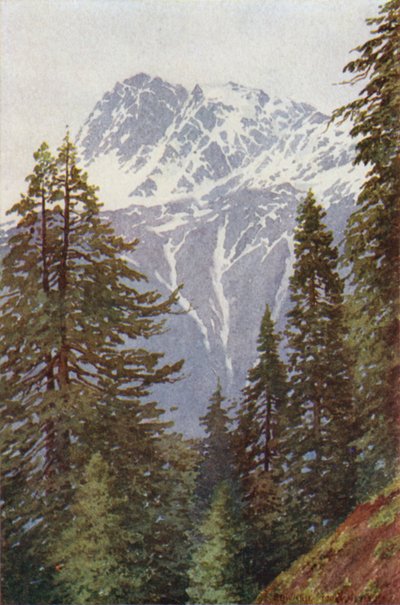 Kotwal aus dem Wald über Kangan, Sind-Tal von Edward Mary Joseph Molyneux