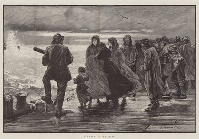 Nach einem Sturm von Edward Morant Cox