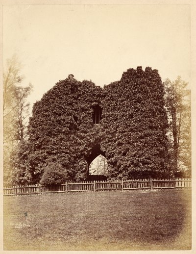 Ansicht eines Folly im Roundhay Park von Edward Wormald