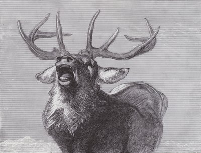 Eine Herausforderung von Edwin (after) Landseer