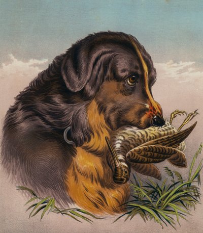 Der Retriever von Edwin (after) Landseer