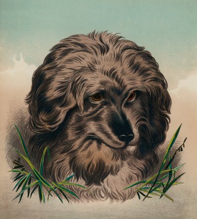 Der Skye Terrier von Edwin (after) Landseer