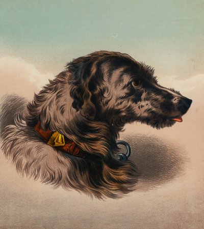 Der Hirschhund (?) von Edwin (after) Landseer