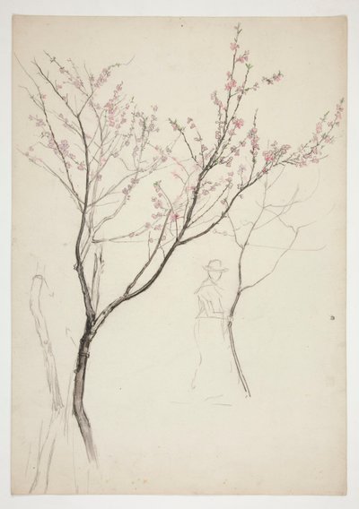 Studie einer Figur unter einem blühenden Baum von Edwin Austin Abbey