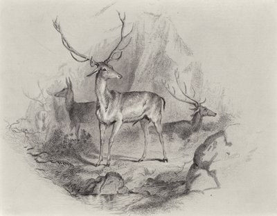 Im Tal von Edwin Landseer