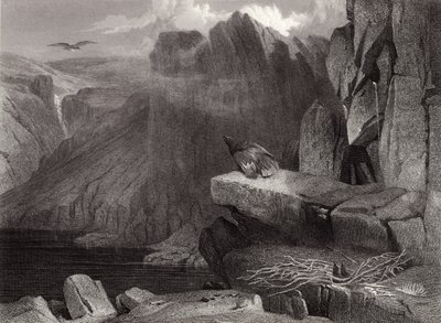 Das Nest des Adlers von Edwin Landseer