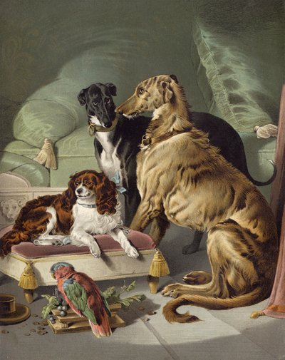 Dash, Hector, Nero und Lory von Edwin after Landseer