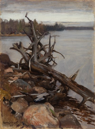 Tote Kiefer im Wasser von Eero Järnefelt