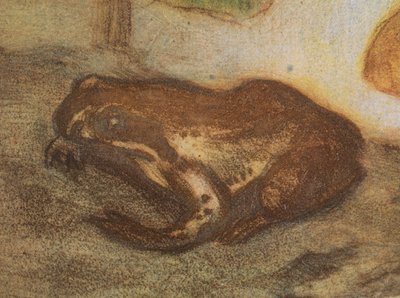 Frosch mit Sumpfdotterblume von Eero Järnefelt