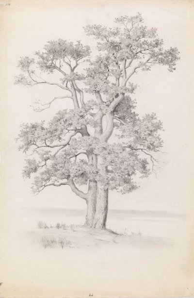 Eiche von Eero Järnefelt