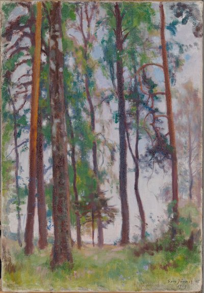 Kiefern von Eero Järnefelt