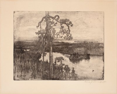 Ohne Titel von Eero Järnefelt