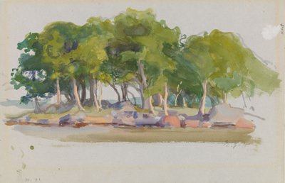 Bewaldete Insel von Eero Järnefelt