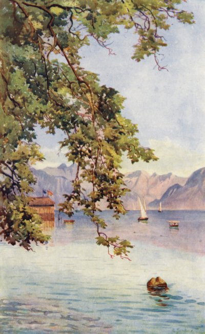 Schweiz von Effie Jardine