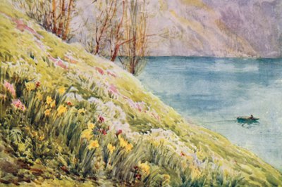 Schweiz von Effie Jardine