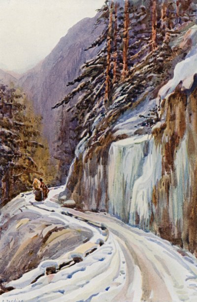 Der Rhein: Auf dem Splügenpass von Effie Jardine