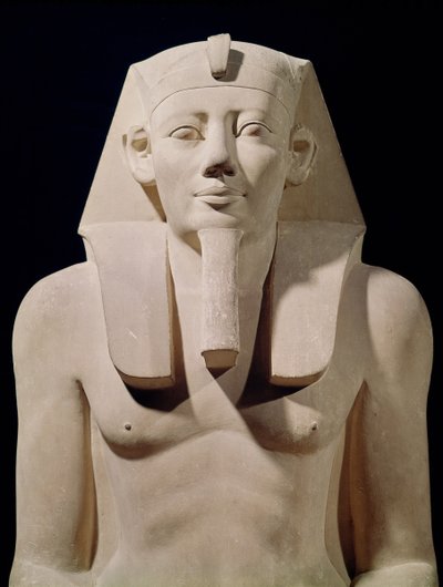 Sitzende Statue von Sesostris I. (1971-28 v. Chr.), ursprünglich aus dem Totentempel von Sesostris I. in al-Lisht (Detail) von Egyptian 12th Dynasty