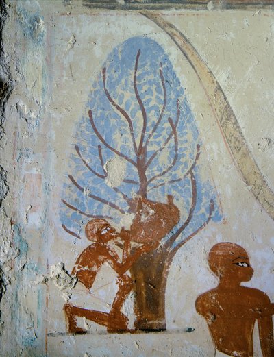 Ein Bauer trinkt aus einem Wasserschlauch von Egyptian 18th Dynasty