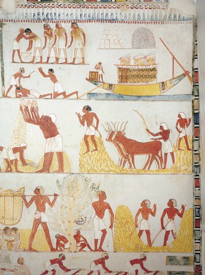 Boot und Szenen der Ernte, des Sammelns, des Transports und der Verarbeitung von Getreide, Fresko, Südflügel, Querraum, Thebanisches Grab TT69, Sheikh Abd el-Qurna, Theben (Unesco-Weltkulturerbe) von Egyptian 18th Dynasty