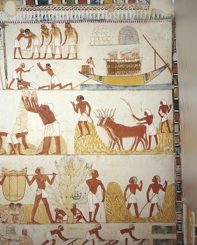 Ägypten, Theben, Luxor, Sheikh 