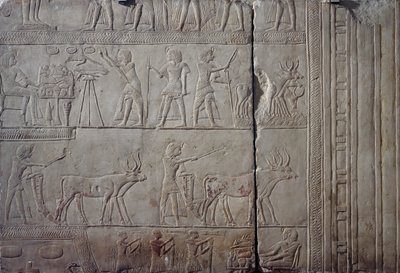 Pharao Haremhab, dargestellt bei der Feldarbeit in den Feldern von Iaru, empfängt die Ernte von Bauern, Kalkstein-Relief, aus dem memphitischen Grab von Haremhab in Sakkara, ägyptische Zivilisation, Neues Reich, Dynastie XVIII von Egyptian 18th Dynasty