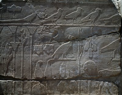 Pflanzen und Tiere, die von Thutmosis III. Expedition nach Syrien im Jahr 1465 v. Chr. zurückgebracht wurden, Detail des Reliefs, Halle, bekannt als der sogenannte Botanische Garten, Tempel des Amun, Karnak-Tempelkomplex, ägyptische Zivilisation, Neues Rei von Egyptian 18th Dynasty