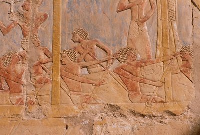 Relief von Männern, die auf einem Boot rudern (Detail) aus dem Totentempel der Hatschepsut (ca. 1503-1482 v. Chr.) von Egyptian 18th Dynasty