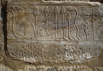 Relief von Tieren und Pflanzen, die Amun von Thutmosis III. nach seiner Rückkehr aus dem Syrienfeldzug 1465 v. Chr. angeboten wurden, Botanischer Gartenraum, Karnak, Thebanische Nekropole, Luxor, Ägypten, Neues Reich, 18. Dynastie von Egyptian 18th Dynasty