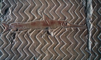 Darstellung von Fischen, Szenen des Königreichs Punt, Südwand der zentralen Kolonnade, Totentempel von Hatschepsut, Deir el-Bahari, Luxor, Theben (UNESCO-Welterbeliste) von Egyptian 18th Dynasty
