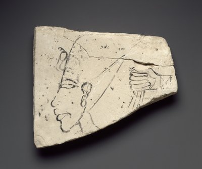 Skizzen von Akhenatens Kopf und Hand, aus dem Großen Palast in Tell el-Amarna von Egyptian 18th Dynasty