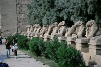 Allee von widderköpfigen Sphinxen entlang des Prozessionswegs zum Großen Tempel von Amun, Neues Reich von Egyptian 19th Dynasty