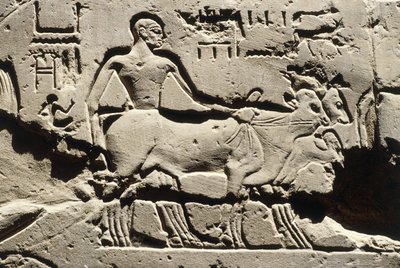 Ägypten Antike bes, Luxor, Luxor-Tempel, Hof von Ramses II, Relief, Neues Reich, Dynastie XIX (1290-1224 v. Chr.) von Egyptian 19th Dynasty