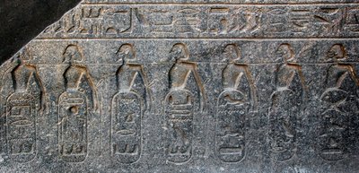 Ägyptische Antiquität: Detail eines Reliefs, das die Embleme der von Pharao Ramses II. (1292-1186 v. Chr.) eroberten Gebiete darstellt. Tempel von Luxor. Ostufer (Theben), Ägypten von Egyptian 19th Dynasty