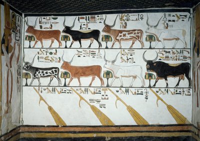 Sieben himmlische Kühe, Ehemann Stier und vier Steuerpaddel, Kapitel 148 des Totenbuchs (Detail) von Egyptian 19th Dynasty