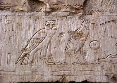 Ägyptische Antike: Relief, das eine Eule und einen Adler darstellt. Grab von Ankh-Hor (Ankh Hor) (TT414) (26. Dynastie, 672-525 v. Chr.), Luxor (Theben), Ägypten von Egyptian 26th Dynasty