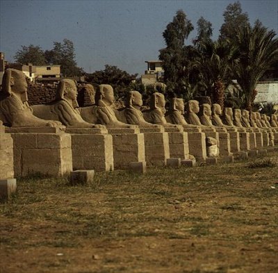 Allee der Sphinxe, hinzugefügt von Nektanebos I (380-362 v. Chr.) von Egyptian 30th Dynasty