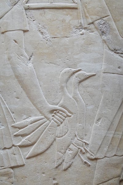 Hand hält 2 Gänse an den Flügeln, Grab von Ramose von Egyptian Egyptian