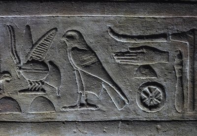 Hieroglyphen, Pharaos Biene und der Horusfalke, Horustempel, Edfu von Egyptian Egyptian