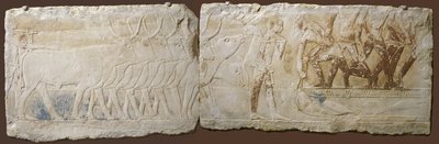 Relief von Bauern, die Vieh treiben und fischen, Altes Reich, 2450-2290 v. Chr. von Egyptian School
