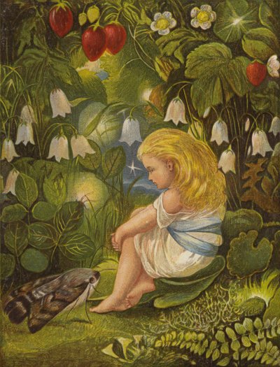 Das Geschwätz mit den Glühwürmchen von Eleanor Fortescue Brickdale