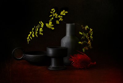 Dunkles Botanisches Stillleben von Elena Arjona