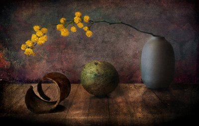 Stimmungsvolle Mimose Stillleben von Elena Arjona