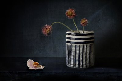 Stimmungsvolle Stachelblumen von Elena Arjona