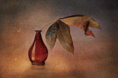 Rote Vase Herbstblätter von Elena Arjona