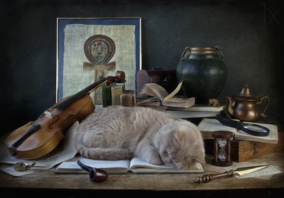 Schlafende Katze Studie von Eleonora Grigorjeva